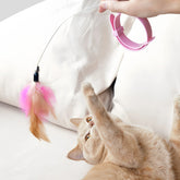 Cat Collar Toy